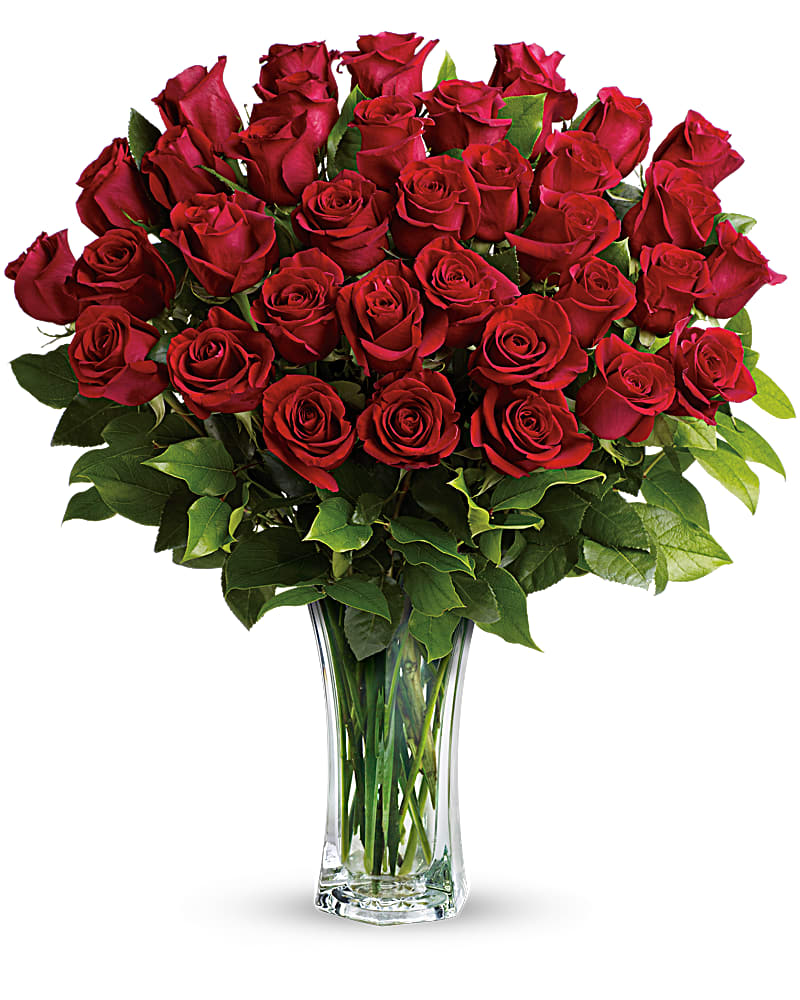 Red Lv Roses Images Love and Devotion - Long Stemmed Red Roses in Las Vegas NV - Desert ...