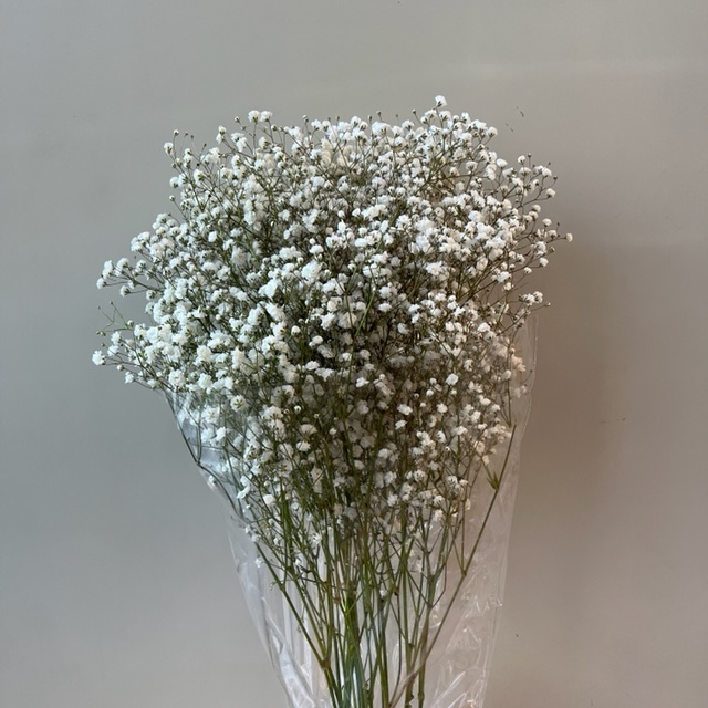 Florist V8N 2A8 | V8N 2A8 Flower Delivery by Poppies Floral Art