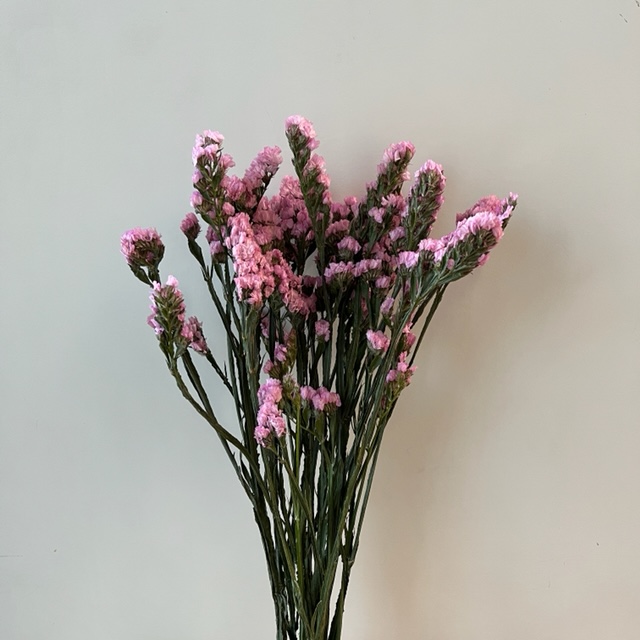 Pink Statice Flower Delivery Victoria BC Poppies Floral Art