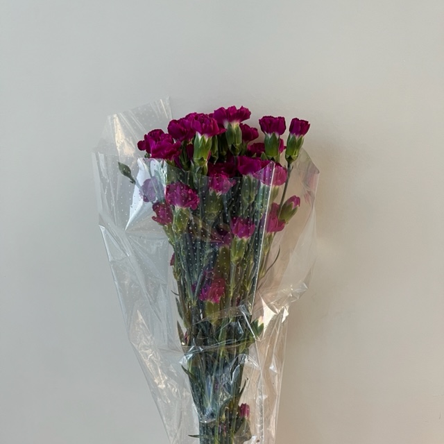 Mini Carnations