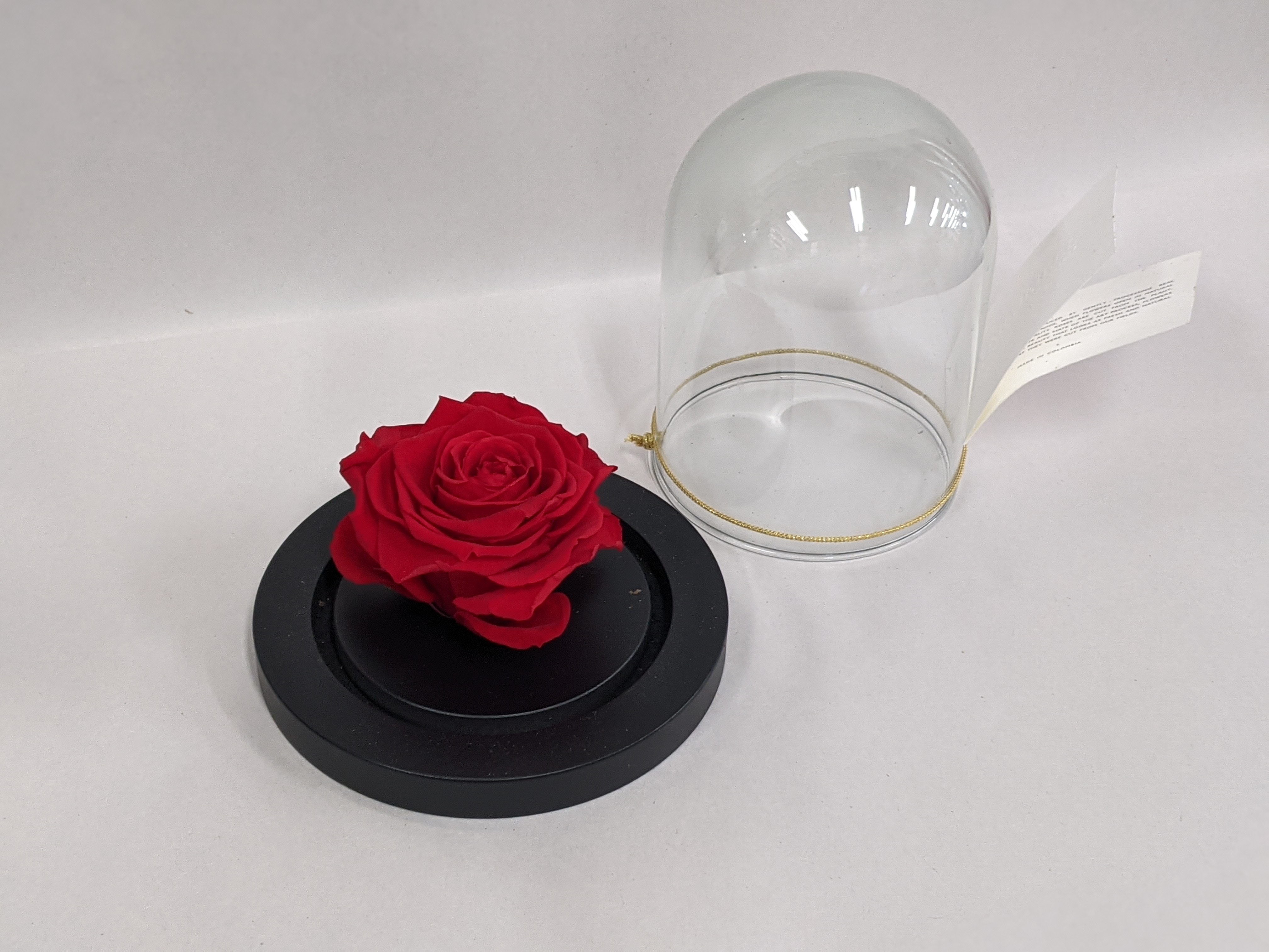 Preserved Roses Flower Delivery Kanata ON Talisman Flowers