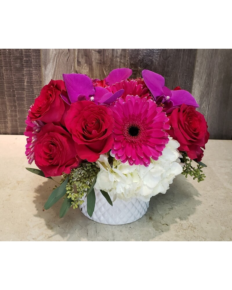 Velvet Roses and Gerber Bouquet Velvet Roses and Gerber Bouquet