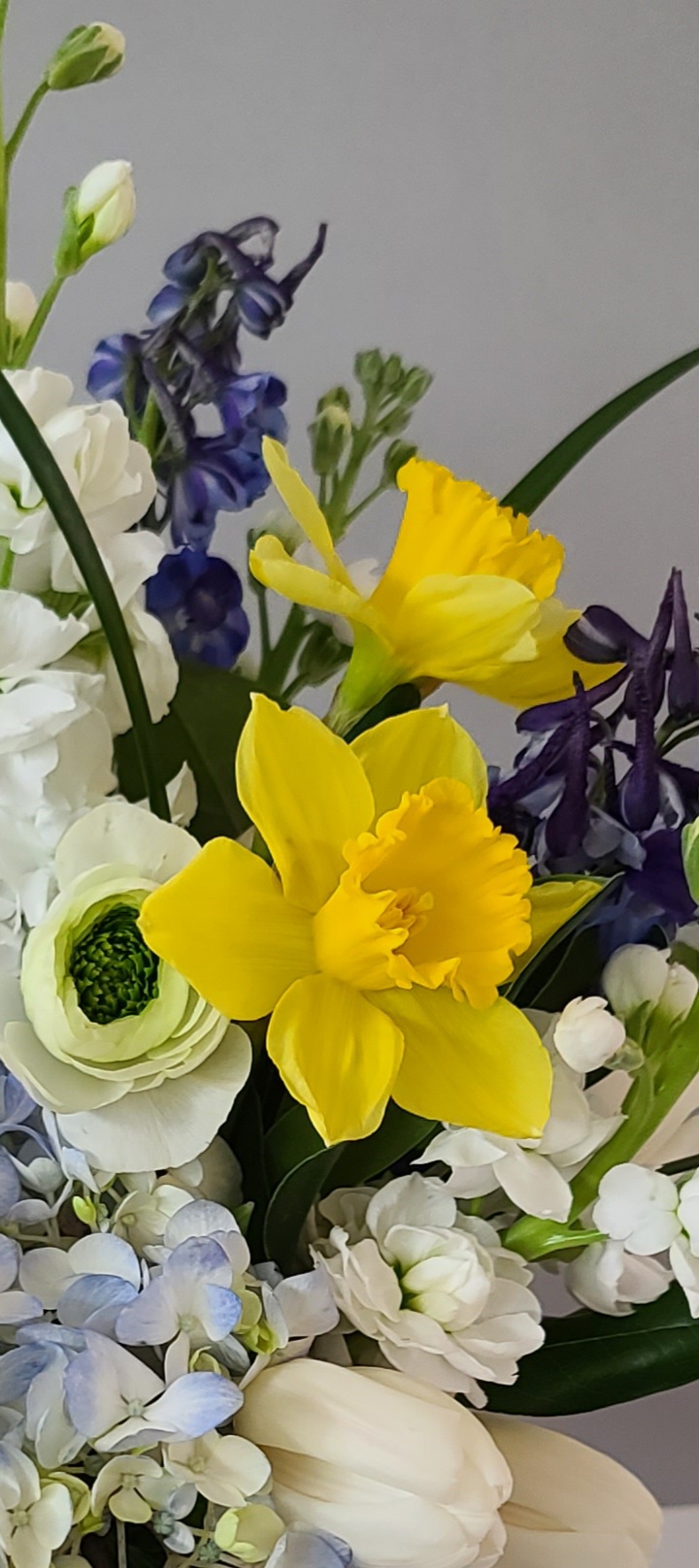 Spring Magic Flower Delivery Augusta ME Augusta Florist