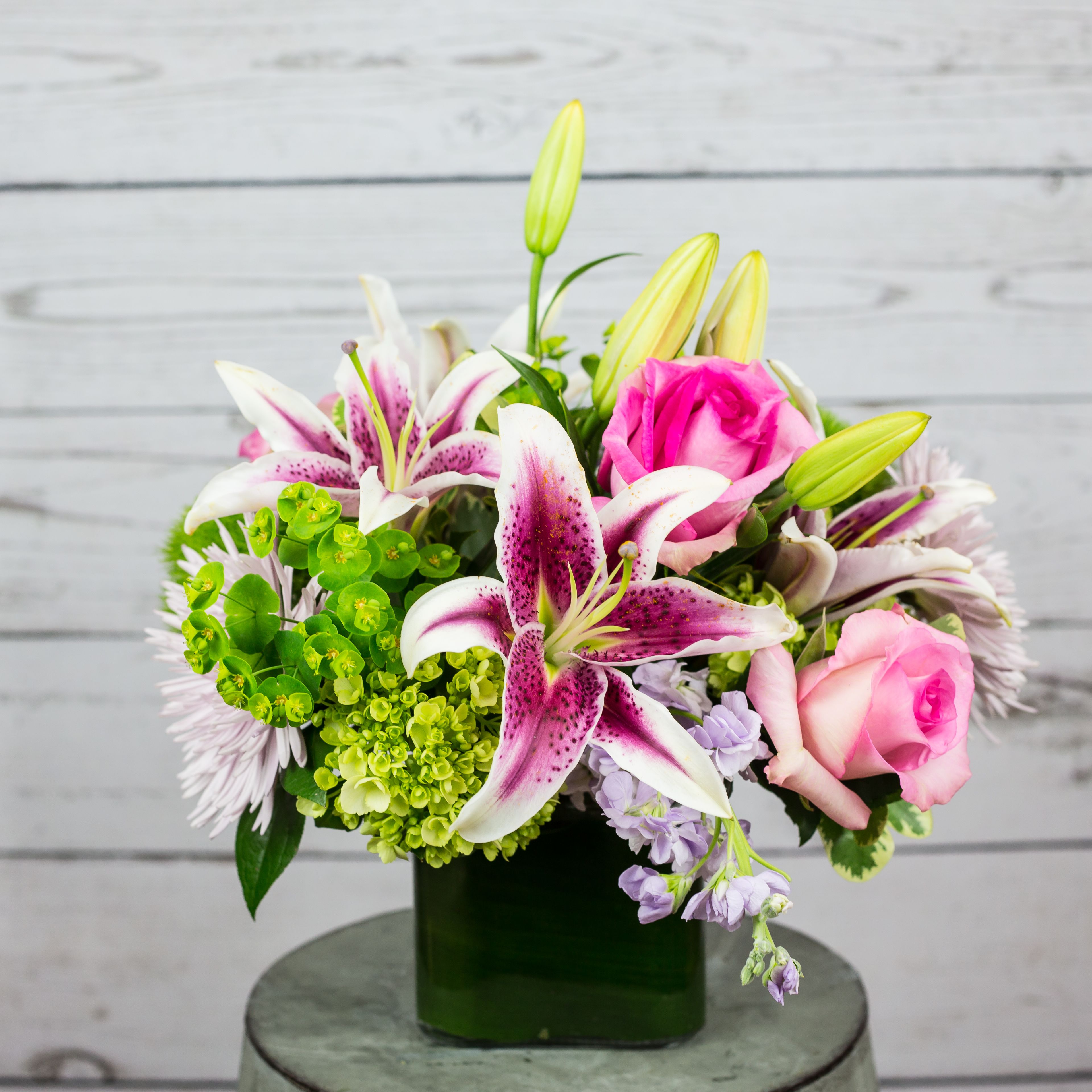 Hydrangeas Flower Delivery Alexandria VA - Foxglove Flowers LLC Hydrangeas Flower Delivery Alexandria VA - Foxglove Flowers LLC