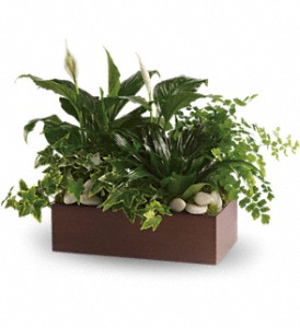 Teleflora's Quiet Expressions