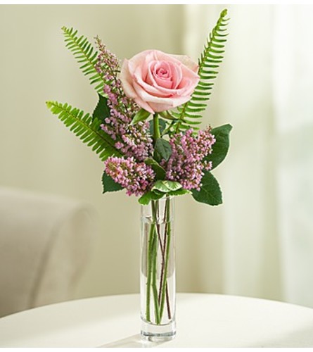 Love’s Embrace™ Roses - Pink