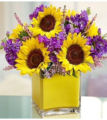 Lotsa Love® Get Well - Wilmington, DE Florist