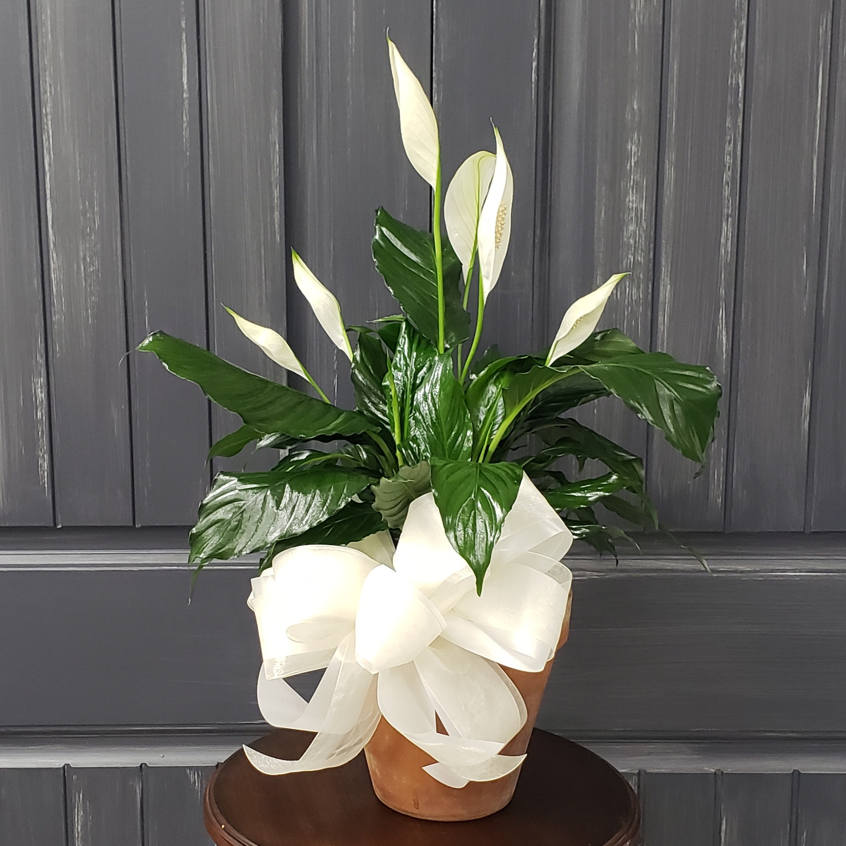 Cambridge Florist Flower Delivery by Cambridge Floral