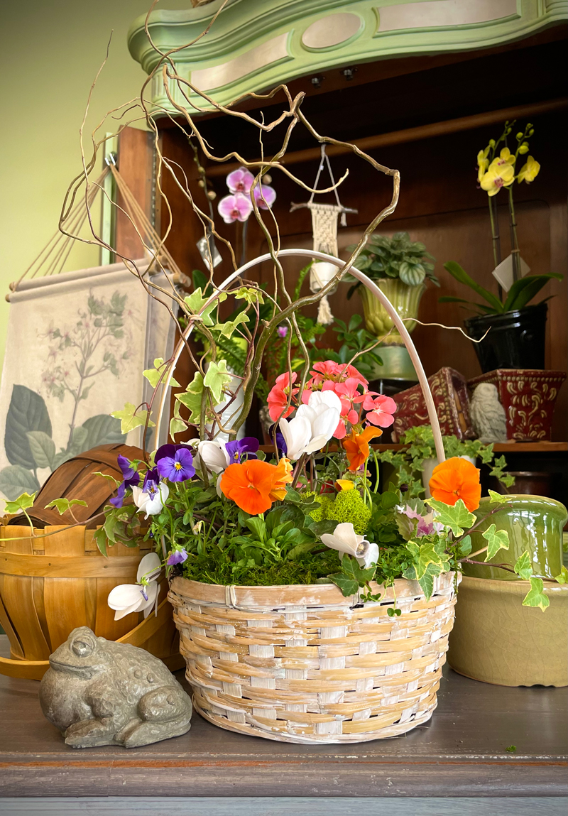 SPRING ANNUALS BASKET Flower Delivery Roy Utah - Gibby Floral