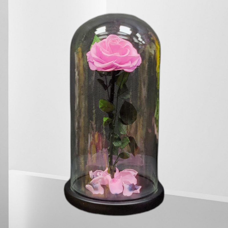 BEAUTY & THE BEAST SWEET PINK