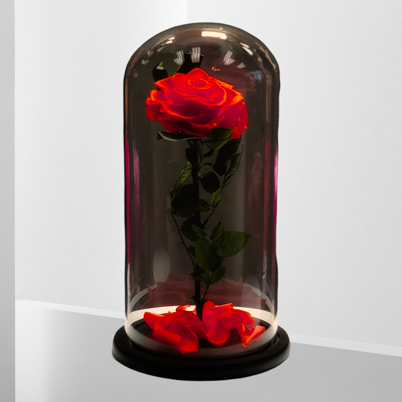 BEAUTY & THE BEAST RED Flower Delivery Las Vegas NV Vegas Rose Flowers