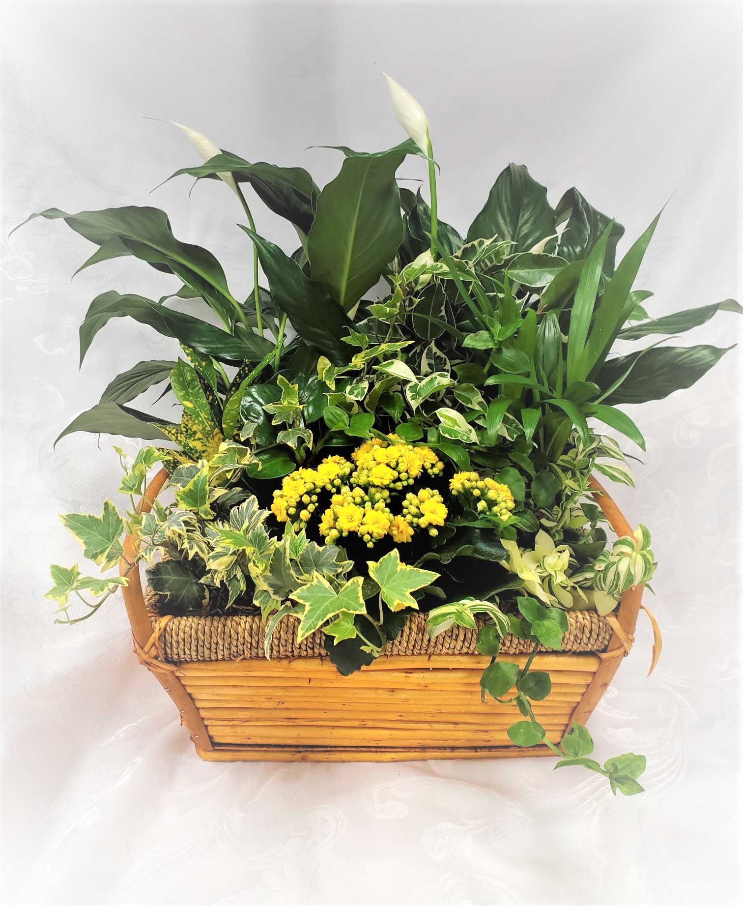 Blooming Dish Garden Flower Delivery Corunna ON LaPier's Flowers & Gifts