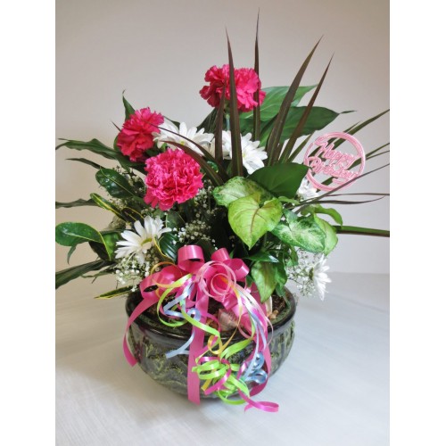 Birthday Plant Arrangement