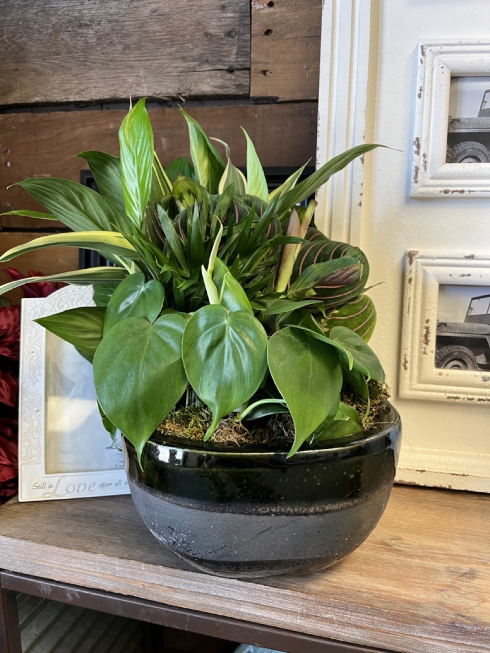 Ceramic Dish Garden Flower Delivery Lamar MO Lamar Greenhouse & Florist