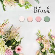 Designers Choice - Blush IL Preston's Florist