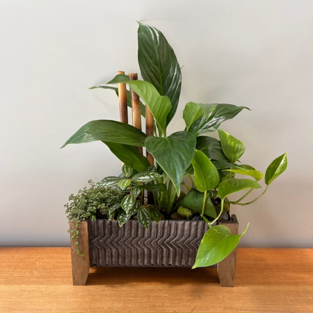 Tropical Planter