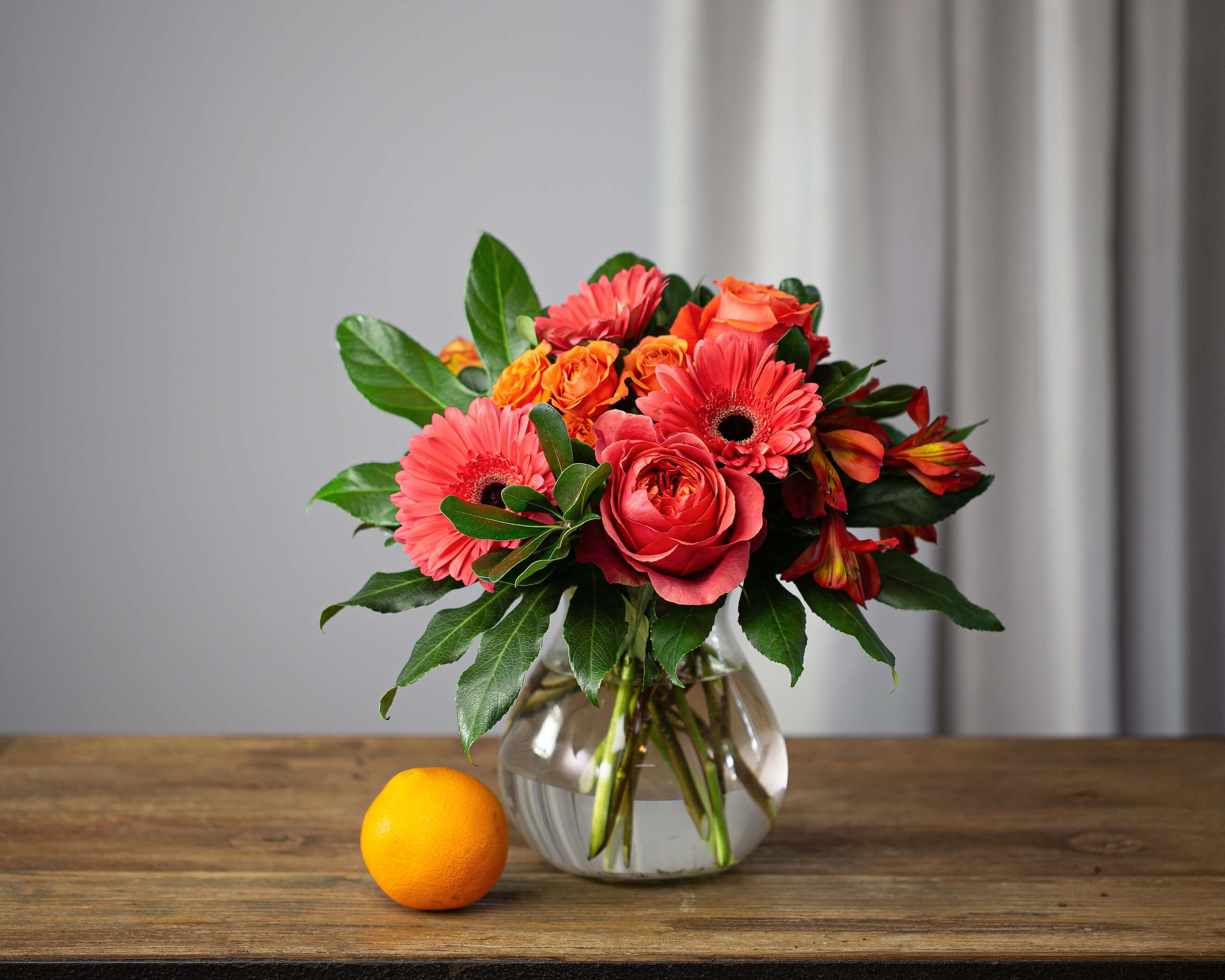 Tangerine SorbetIvory Florist
