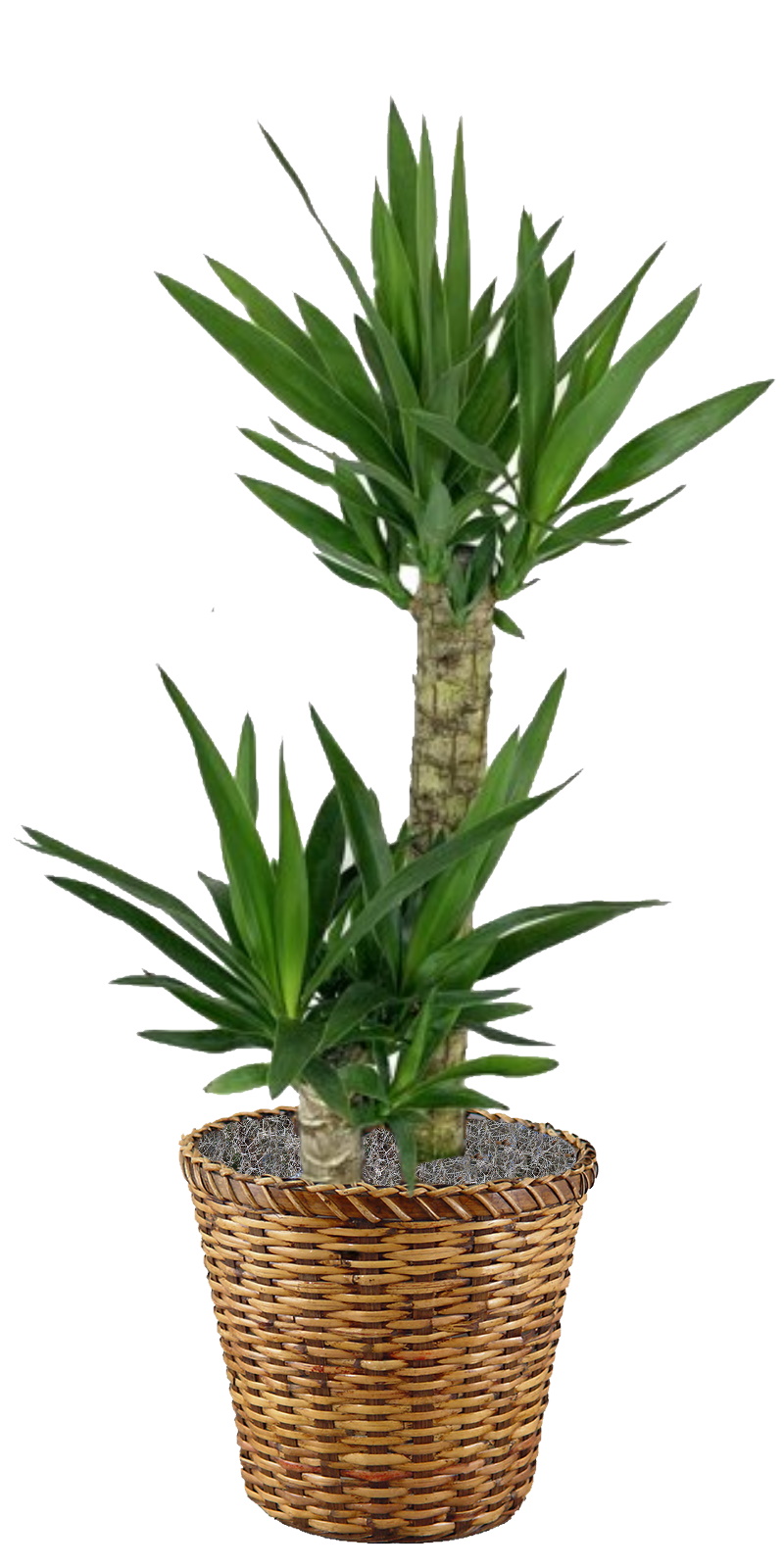 grove planters Grove Keeper Planter | Flower Pot