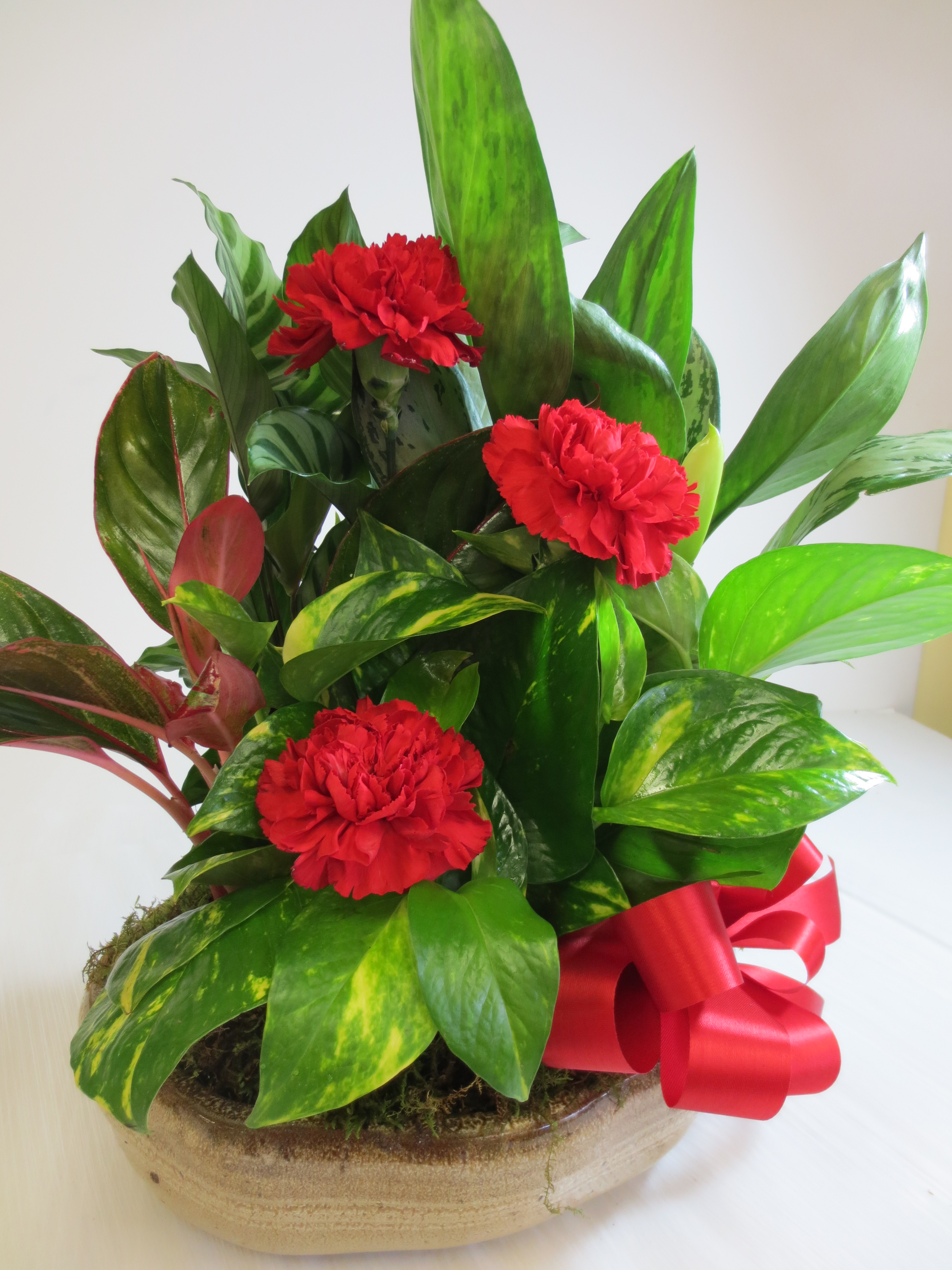 花香様オーダー Florist 33326 | 33326 Flower Delivery by Oma's Garden Flower Shop