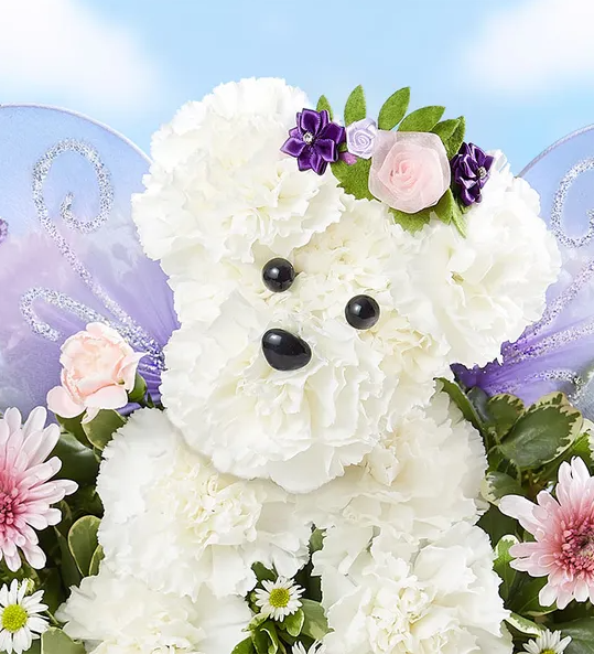 Magical Fairy Dog™ Flower Delivery Wilmington DE - DiBiaso's