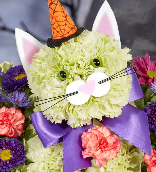 Cat In The Hat Flower Arrangements Best Flower Site