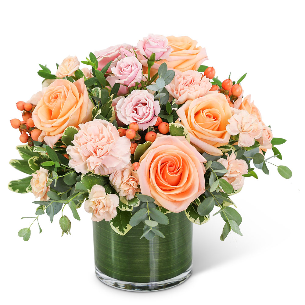 Sorbet Sunshine Flower Delivery Virginia Beach VA Daughters Flowers