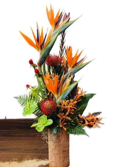 Tropical Arrangement