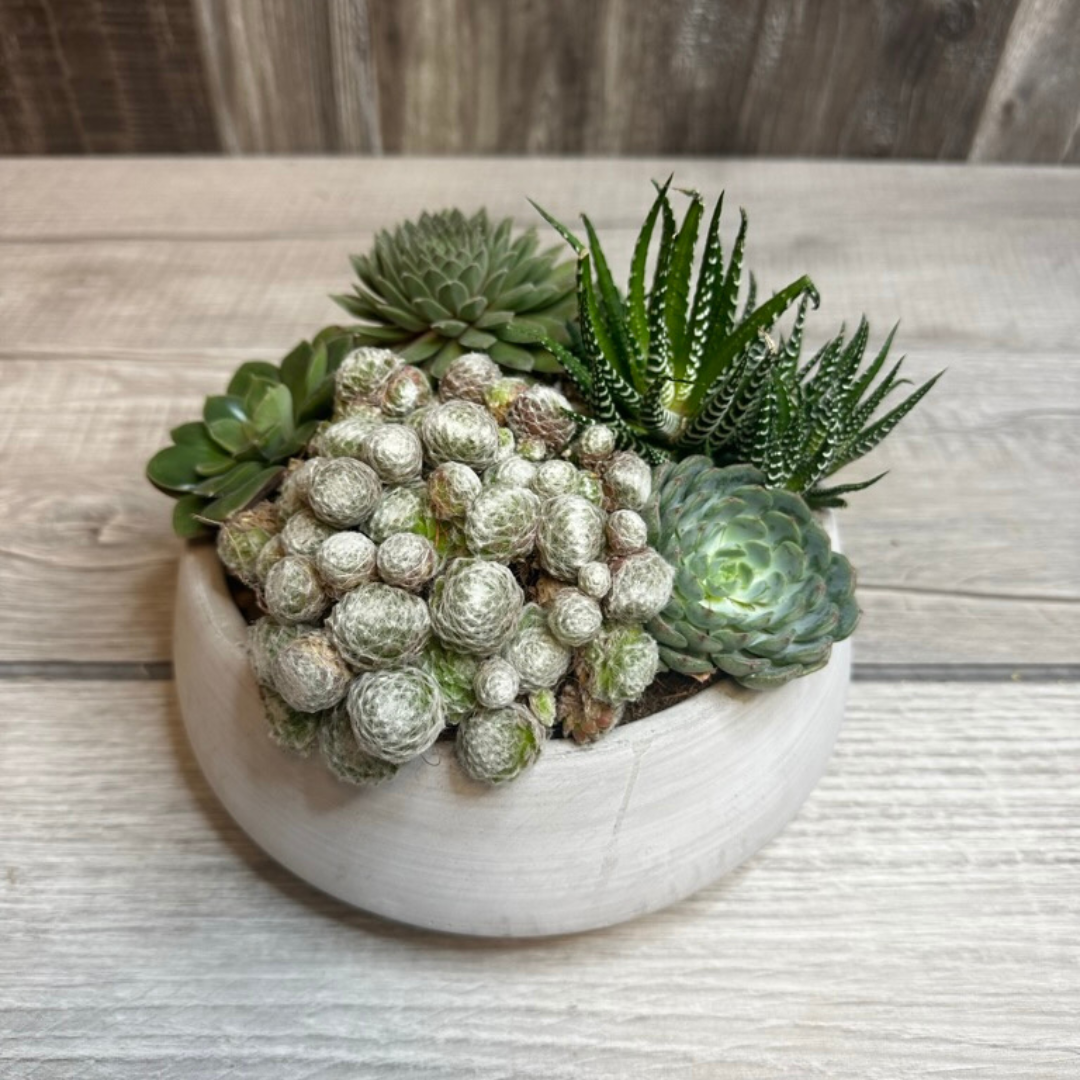 Desert Oasis Flower Delivery Las Vegas NV Desert Rose Florist