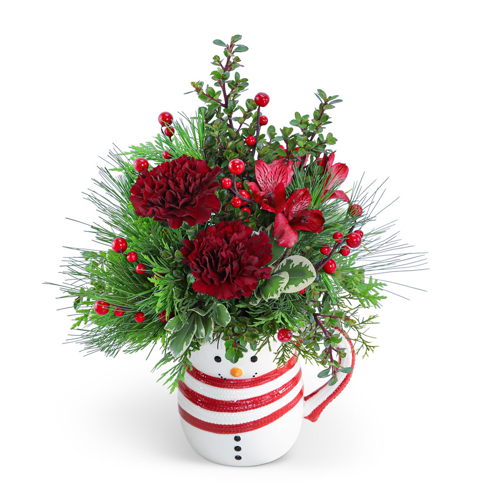 Sweet Frosty Hug Mug Flower Delivery Virginia Beach VA Daughters Flowers