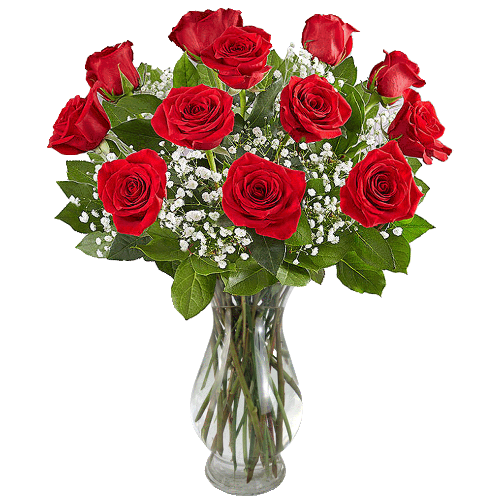 Dozen Red Roses Flower Delivery Decatur GA Fairview Flower Shop