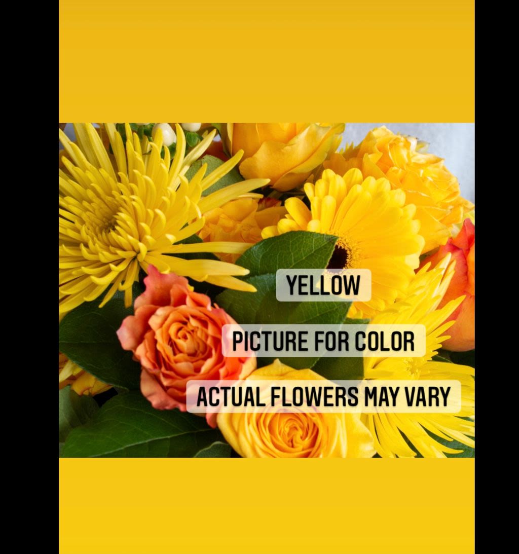 Designer's Choice Flower Delivery Virginia Beach VA Flowers at Hilltop