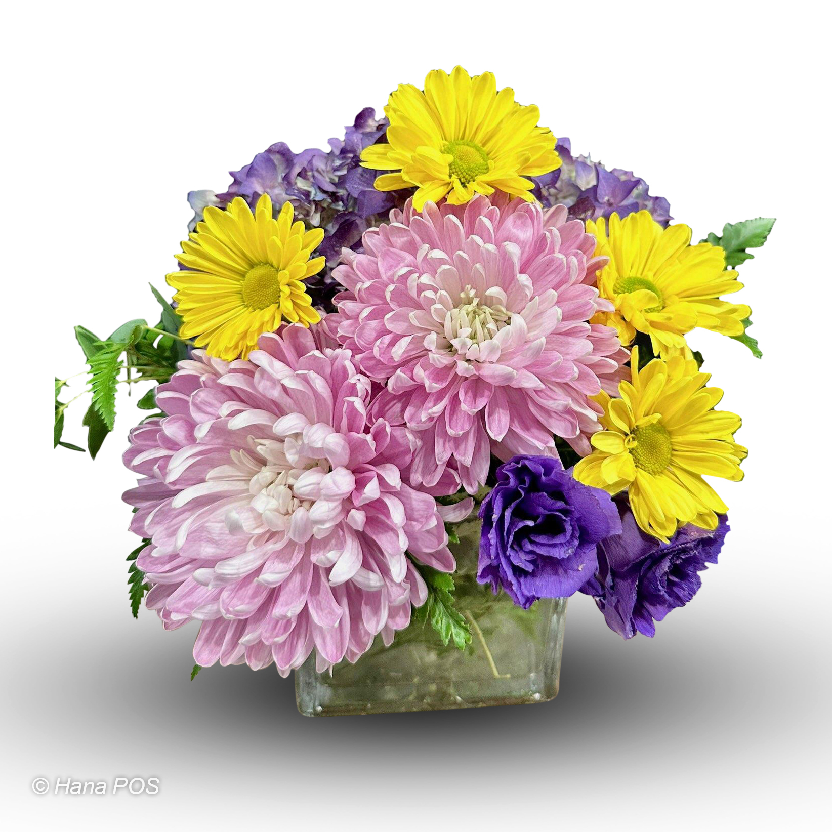 Cheerful Hello