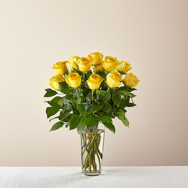 Order Long Stem Yellow Rose Bouquet
