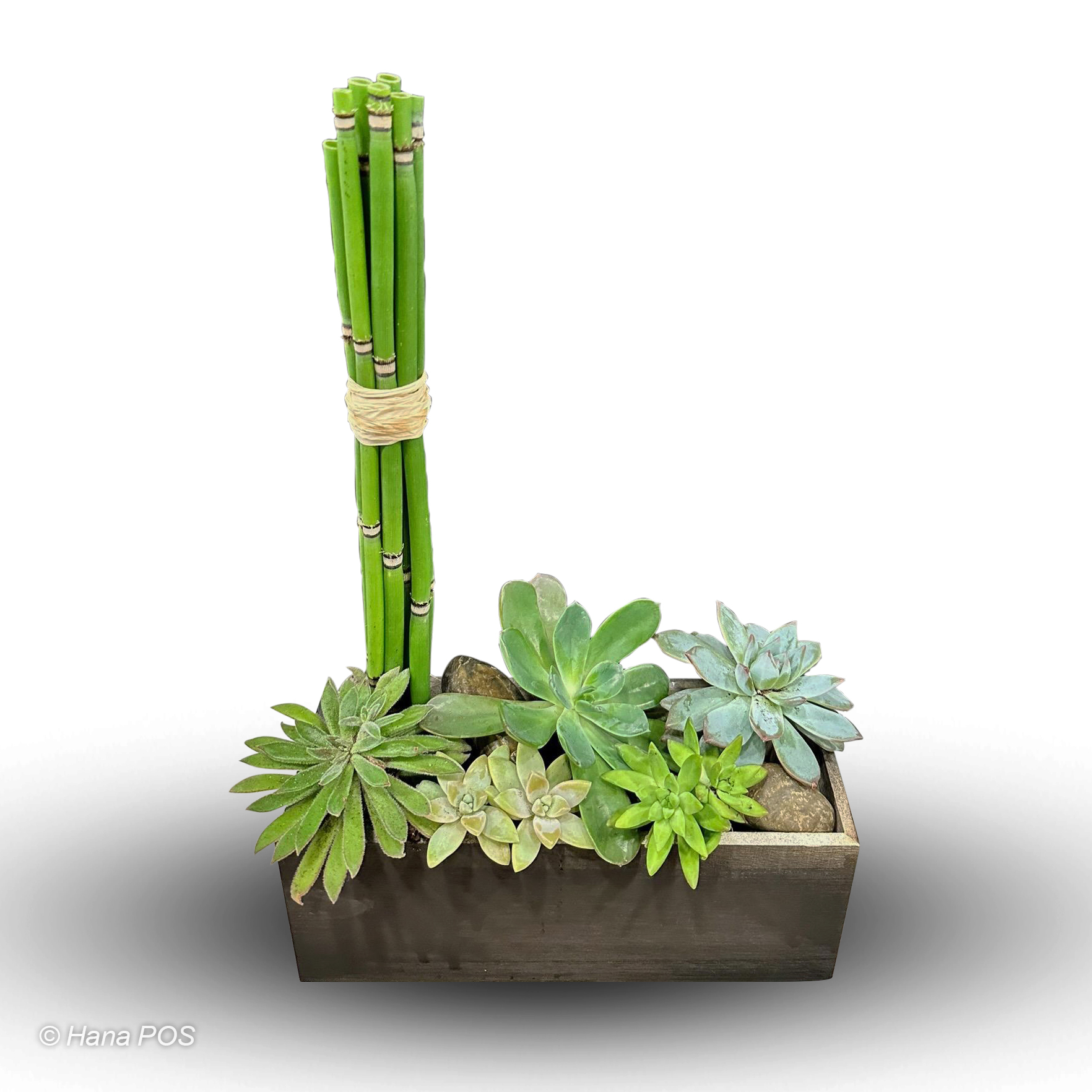 Zen Garden Box