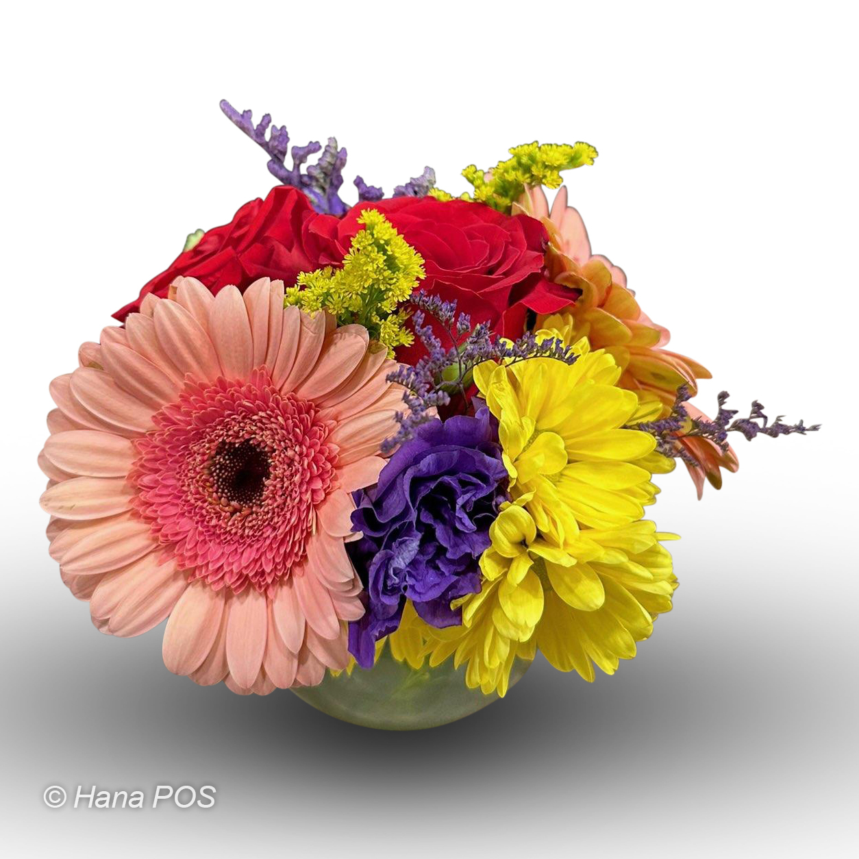 Assorted Rainbow Gerbera Daisies