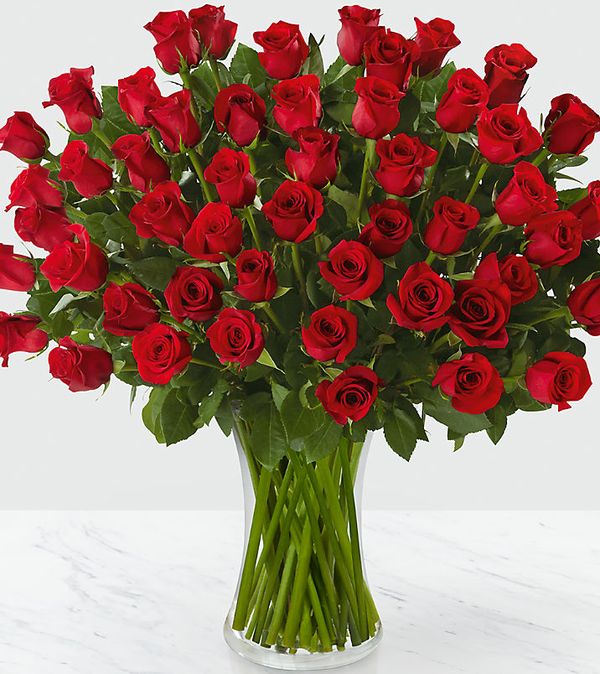 Fifty Long Stem Red Roses Flower Delivery Green Bay WI - Em's Petal Parlor