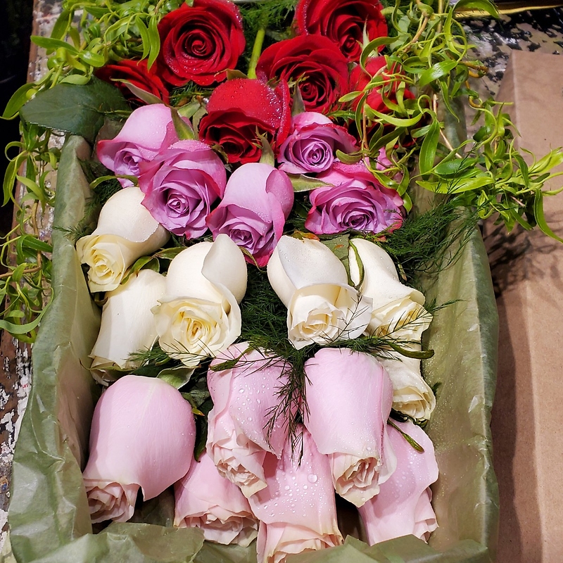 Twodozen Mixed (24 assorted) ROSES BOXED Middleboro, MA Florist