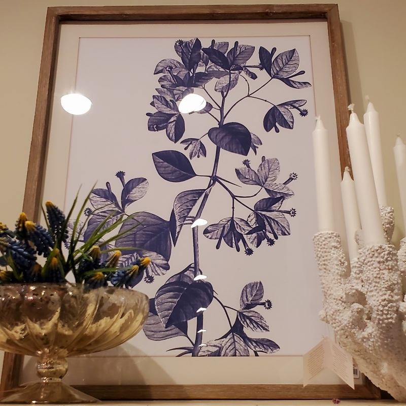 Blue & White Botanical Print #1, Framed, Behind Glass