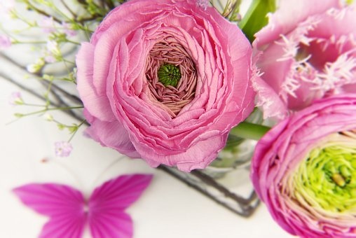 Designer's Daily Choice Fresh Arrangement