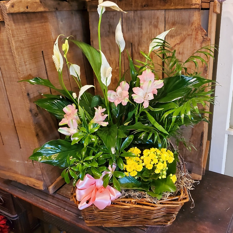 Blooming Gift Basket Middleboro, MA Florist, Wine & Gift Shop Same