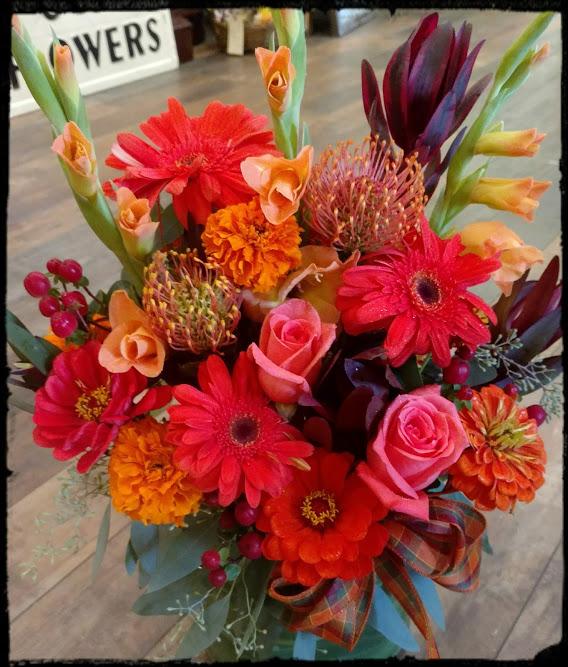 Gerbera with a Protea Accent Middleboro, MA Florist, Wine & Gift Shop