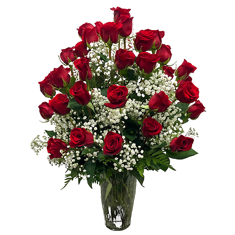 48 Long Stem Roses Available in 7 colors Flower Delivery New Holland PA ...