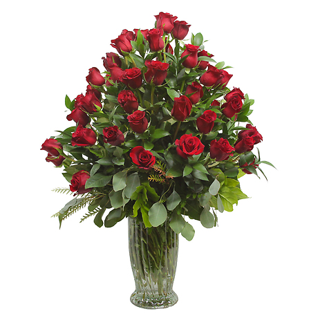 5 Doz. Long Stem Roses Available in 7 colors Flower Delivery New ...