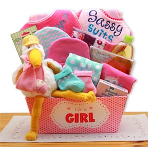 Dainty Tails New Baby Unicorn Gift Basket