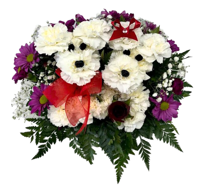 【期間限定送料無料】 AZ Tempe Florist -Fiesta AZ Tempe Gifts & Plants Flowers, バーベキュー・調理用品