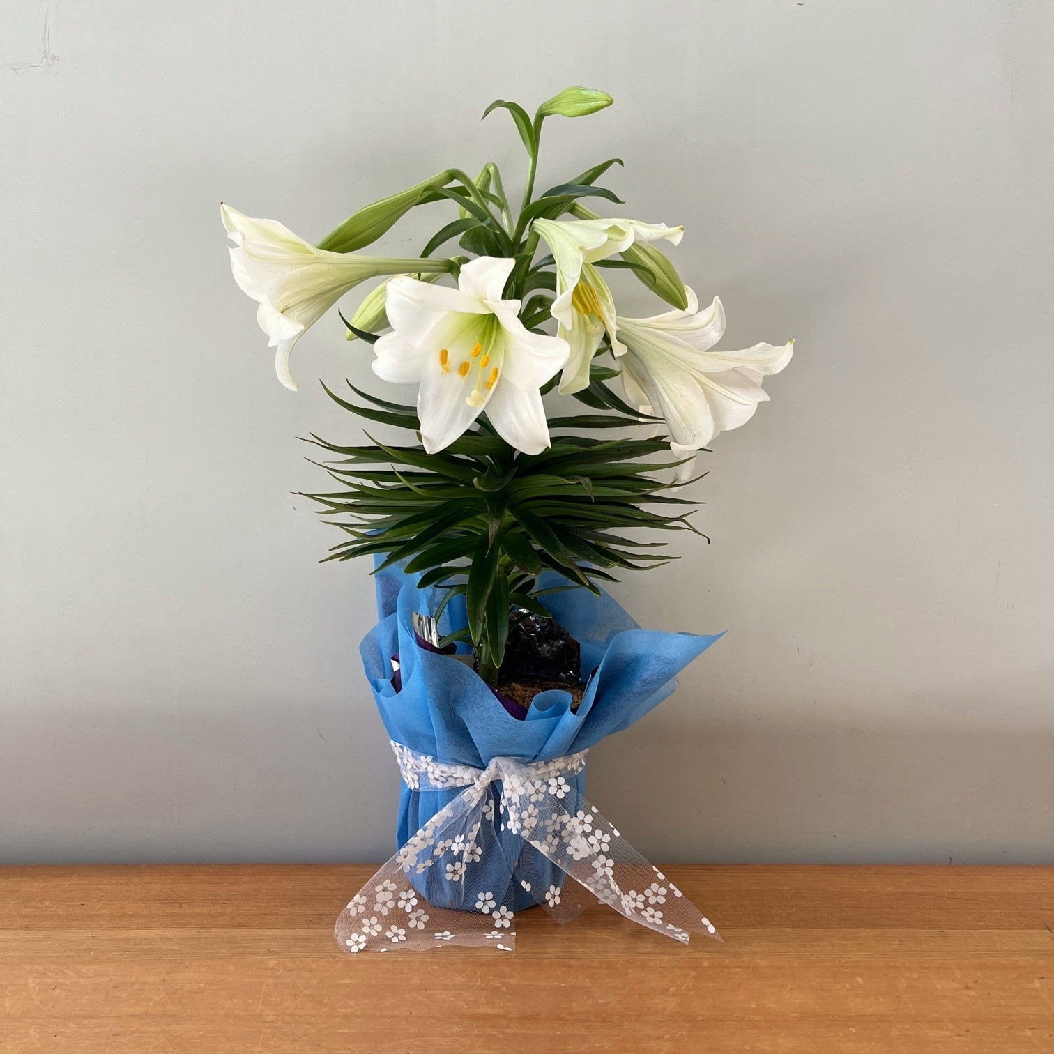 Easter Lily Flower Delivery Victoria BC Poppies Floral Art