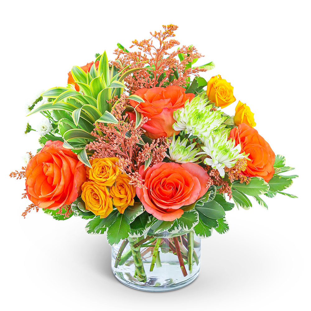 Summer Flower Delivery Ottawa IL Blythe Flowers