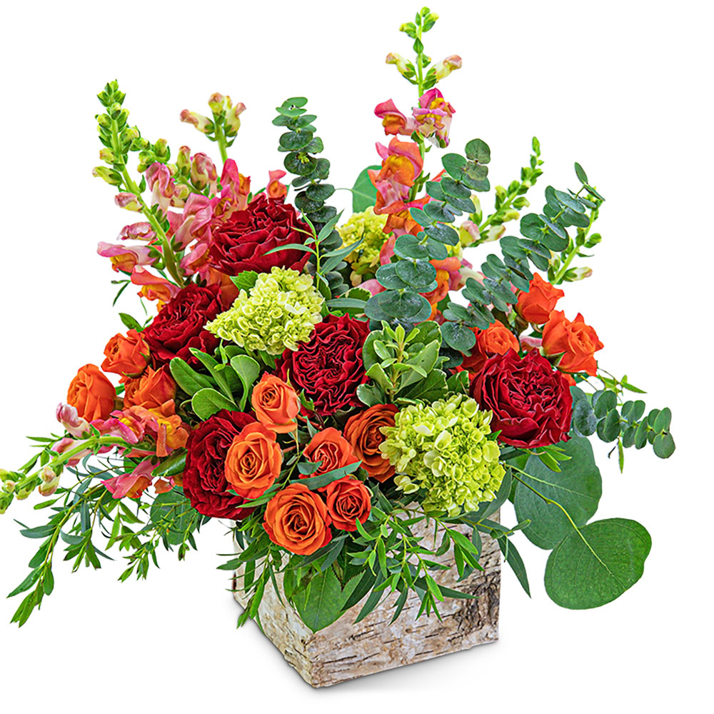 Aspen Glow Flower Delivery Ottawa IL Blythe Flowers