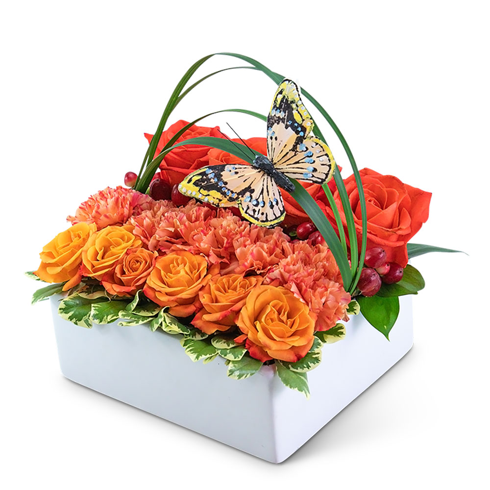 Butterfly Flower Box