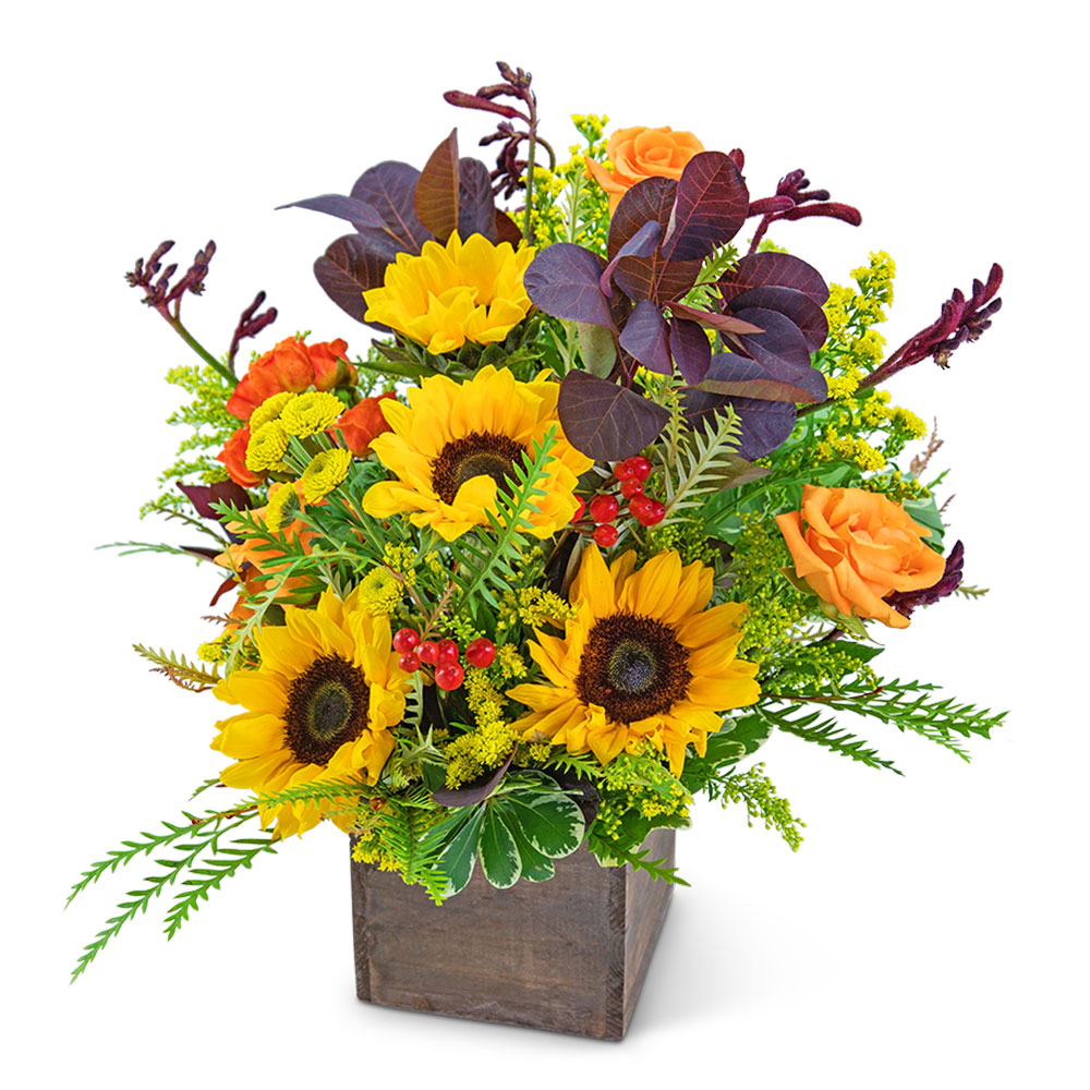 Beachwood Canyon Flower Delivery Ottawa IL Blythe Flowers